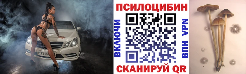 Галлюциногенные грибы Psilocybe  Бабушкин 